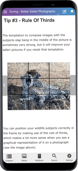 Better Safari Photography